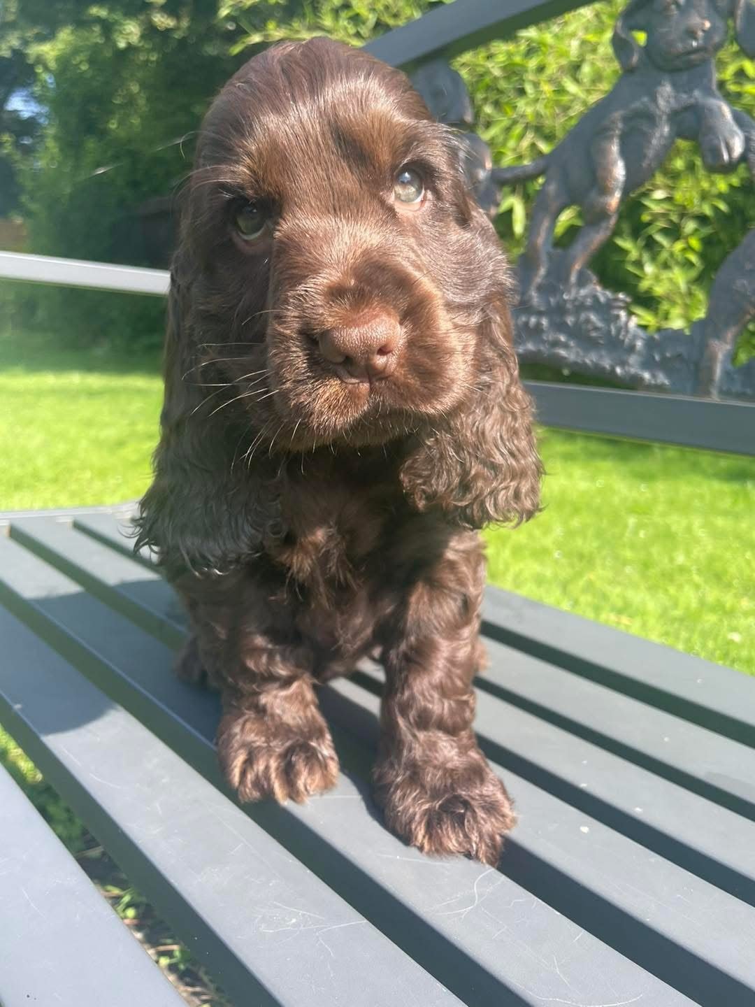 Orla