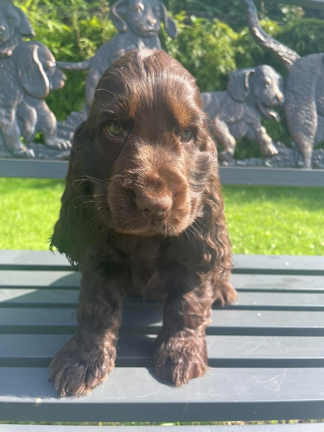 Orla
