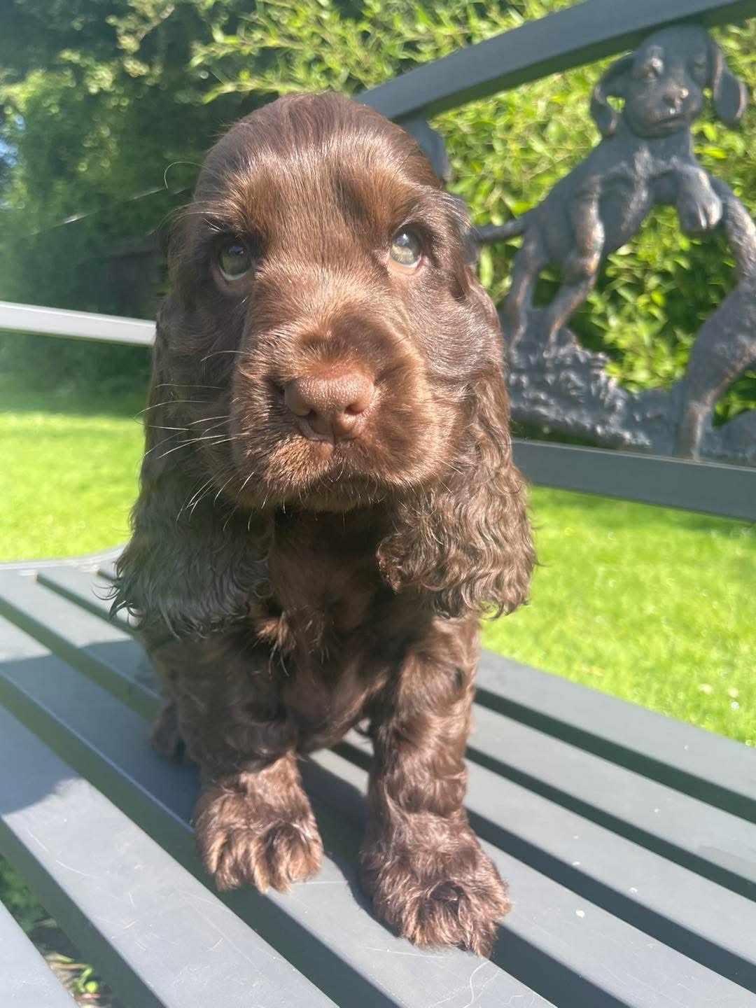 Orla
