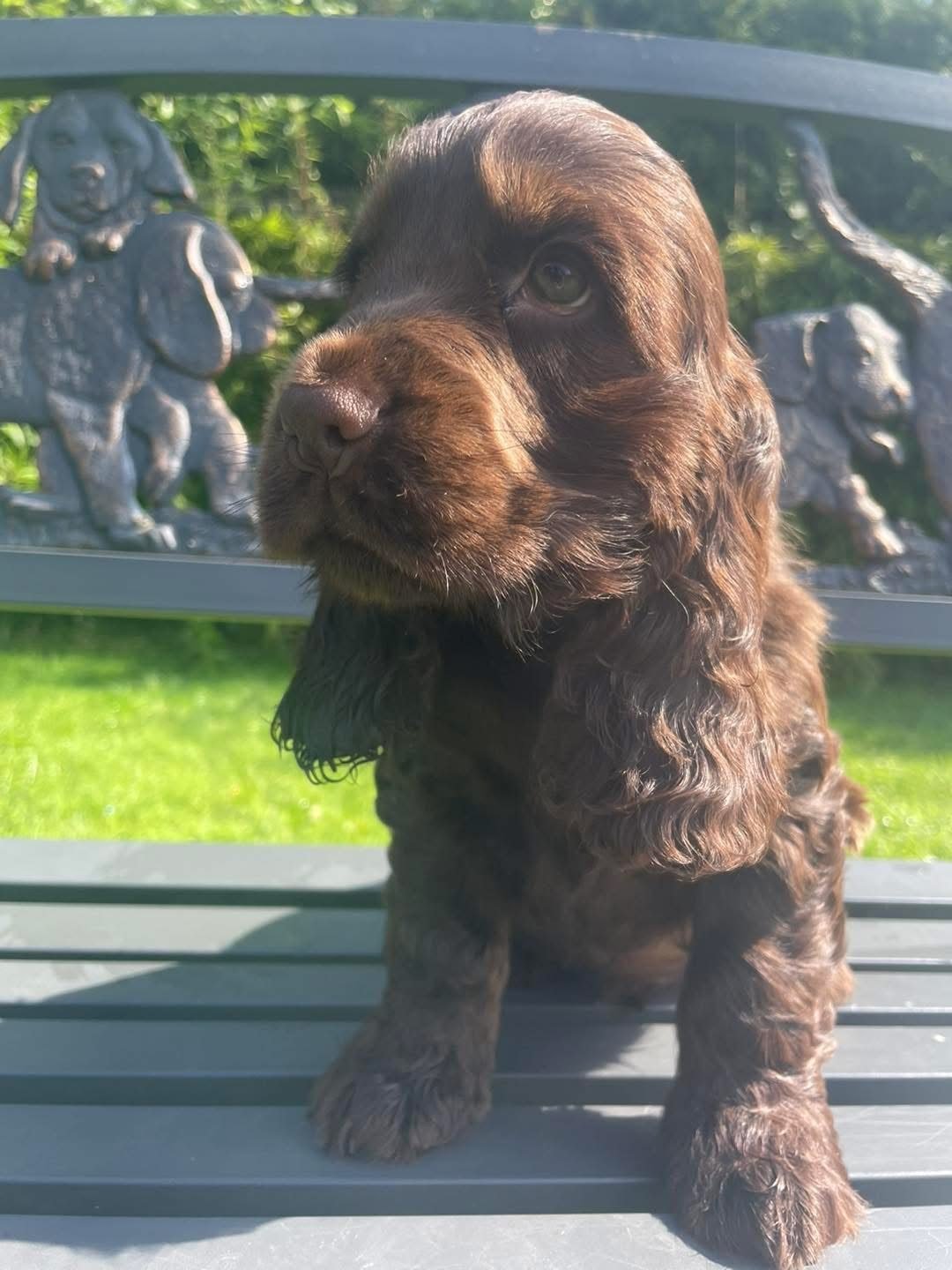 Orla