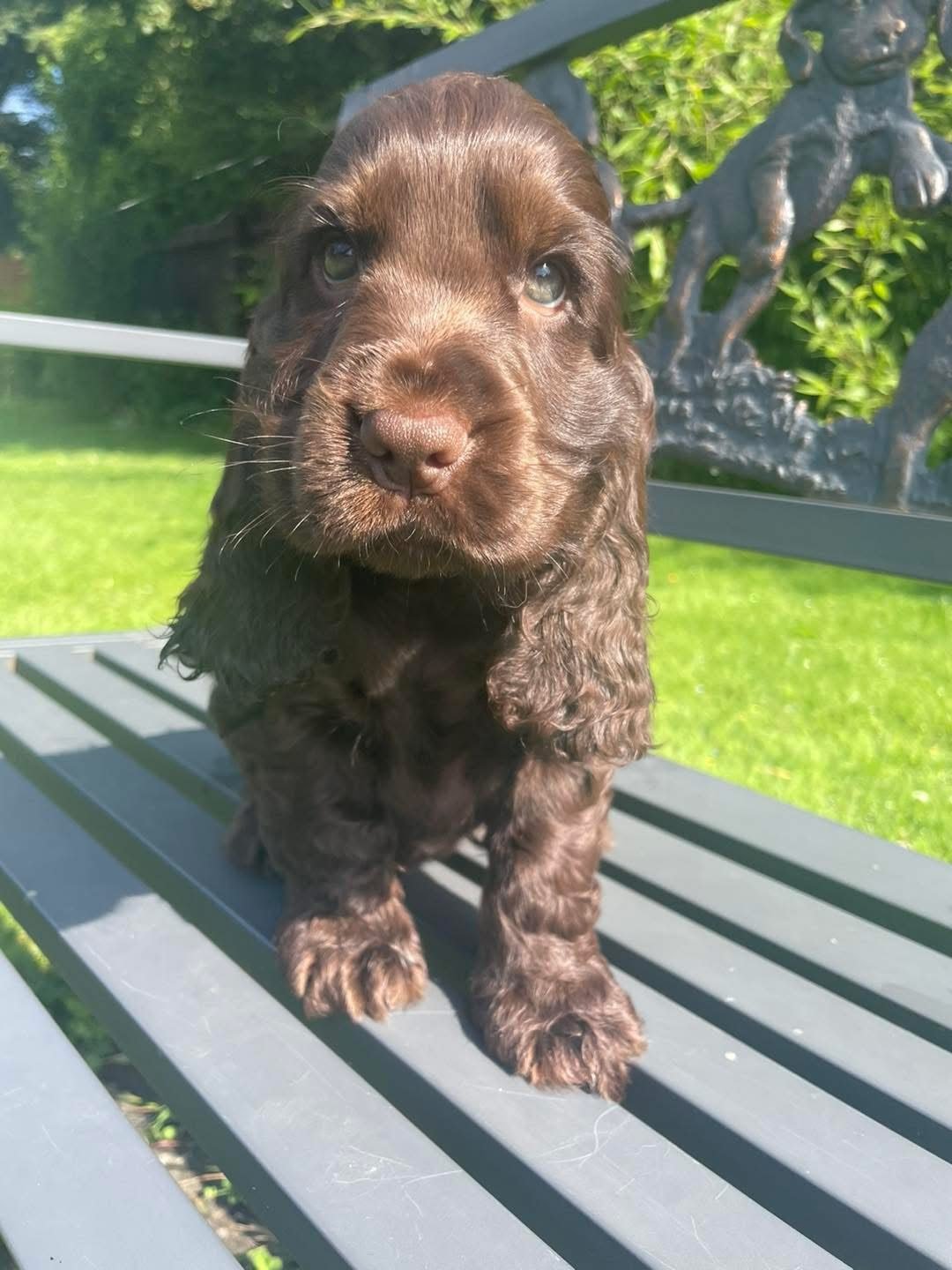 Orla