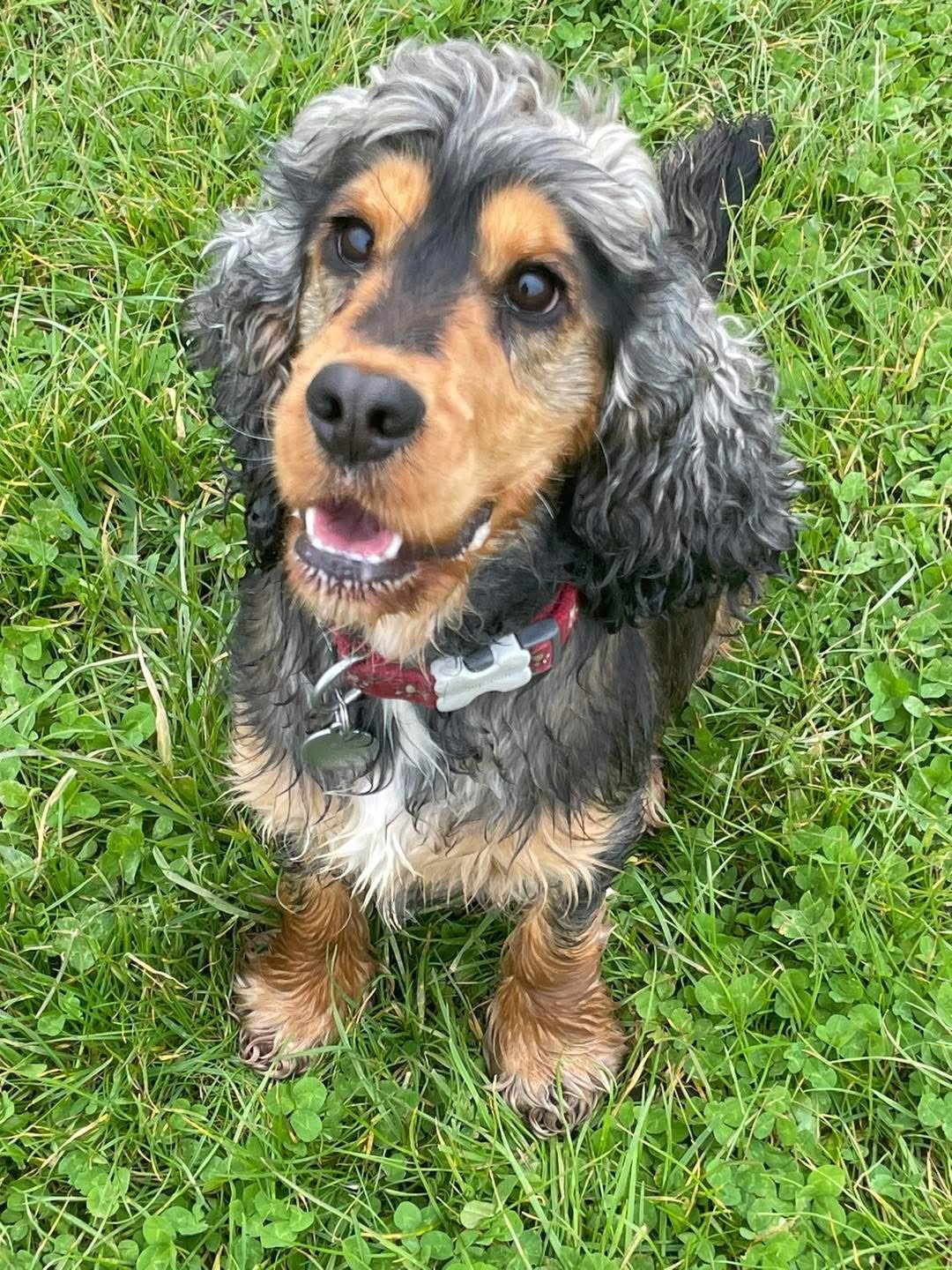 Oliver