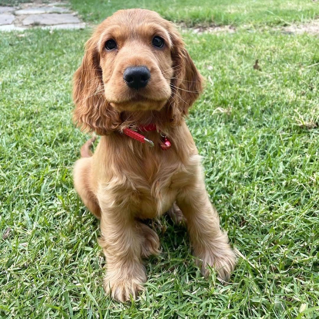 Bella