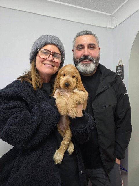 Carlos Vega's puppy