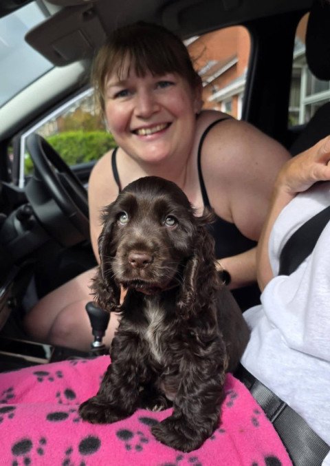 Ryan Bennett's puppy